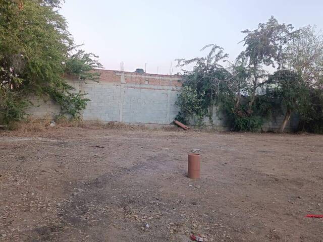 #6 - Área para Venta en Mazatlán - SL
