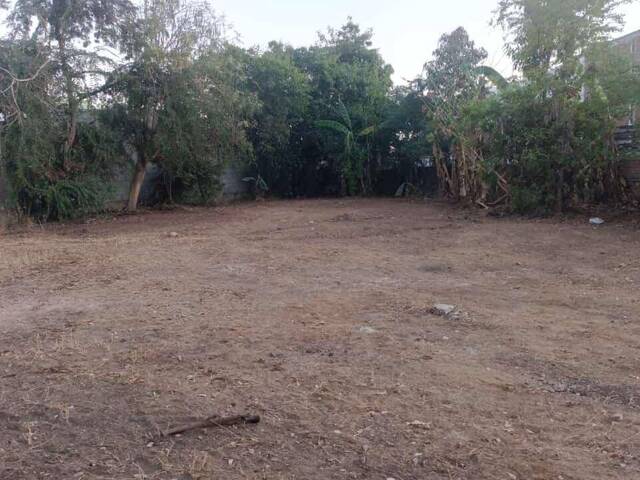 #6 - Área para Venta en Mazatlán - SL