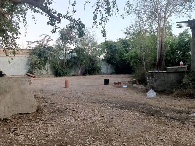 Área para Venta en Mazatlán - 4
